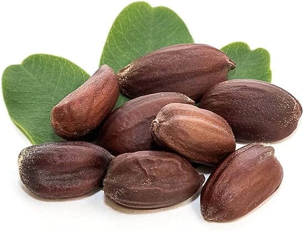 jojoba seeds 2Kg