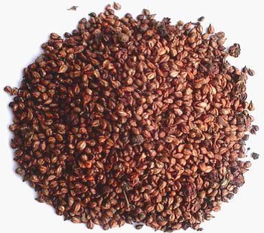 Grape seeds 10Kg