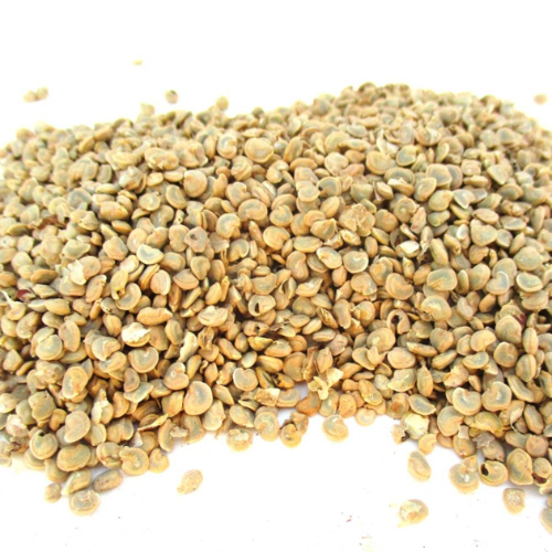 prickly pear seeds 2 Kg