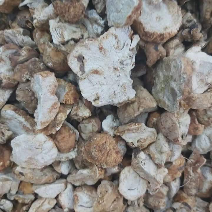 Bakbouka  Moroccan 2Kg
