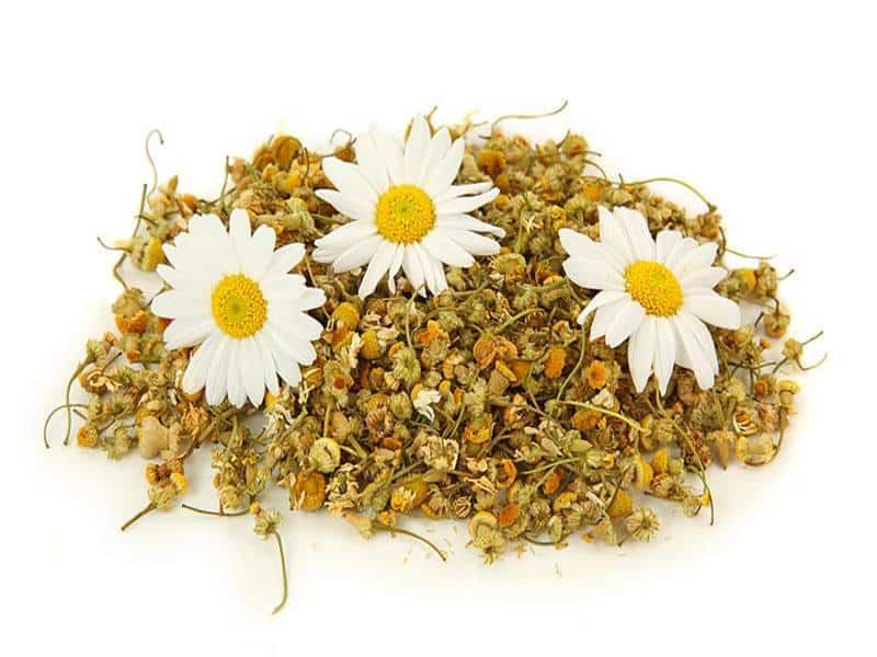 Chamomile 5 Kg