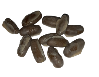 500 Pieces of Moroccan desert suppositories